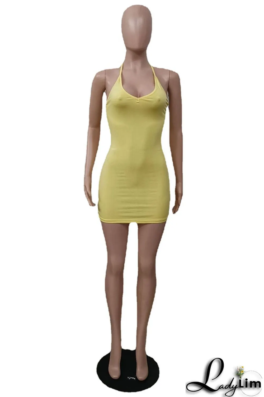 Sky Blue Sexy Casual Solid Backless V Neck Sling Dress