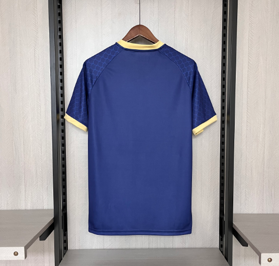 24/25 Japan Dragon Blue Soccer Shirt Thai Qulity