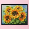 Sunflower - 11CT Stamped Cross Stitch - 46*36cm