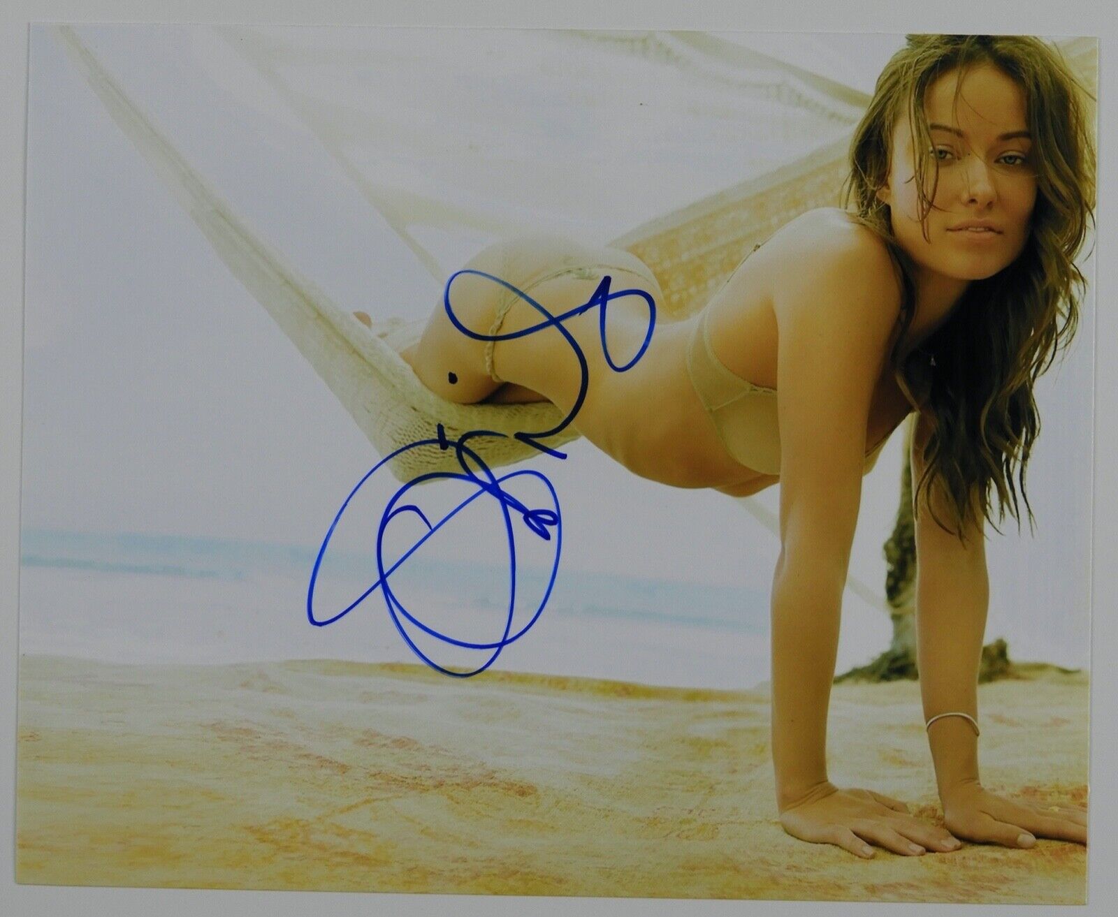 Olivia Wilde Signed JSA Autograph 8 x 10 Photo Poster painting