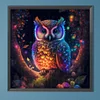 5D diy volle runde Bohrer Diamantmalerei leuchtende Eule Kit Heimdekoration 50x50cm