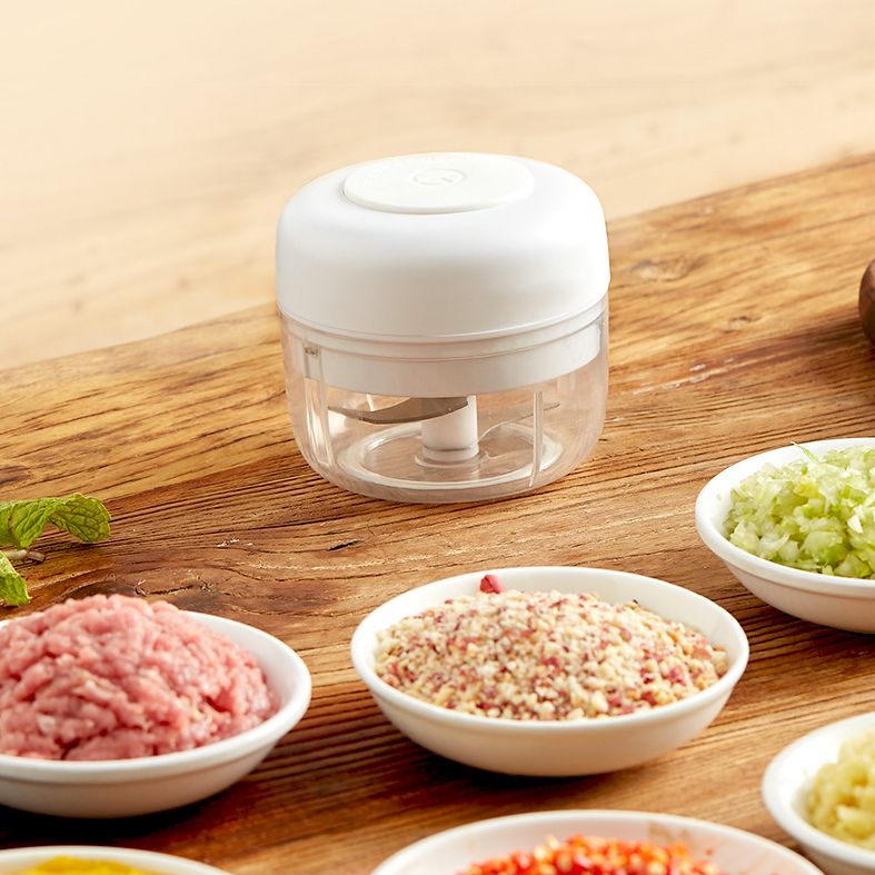 Mini Electric Food Chopper