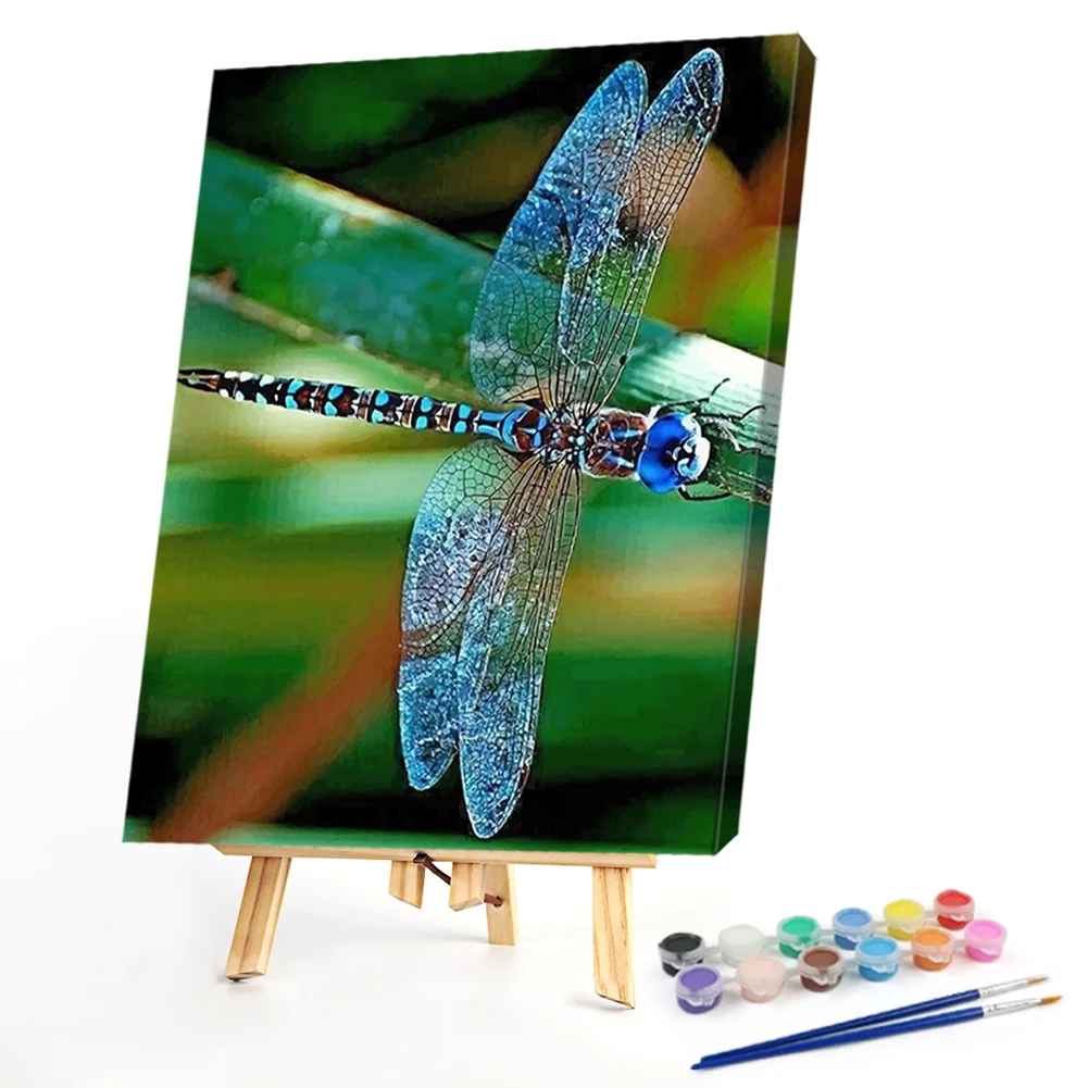 Colorful Dragonfly - Paint By Numbers(40*50CM)