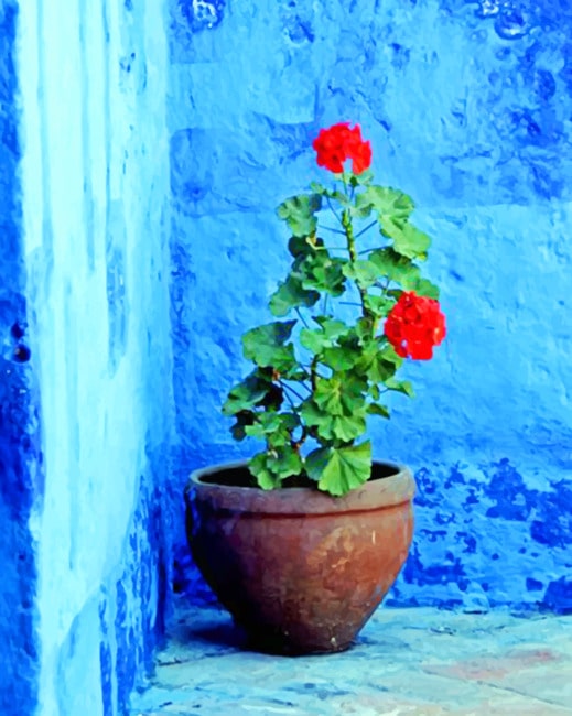 

Blue Wall And Vase – Paint By Numbers - 40*50CM, 501 Original