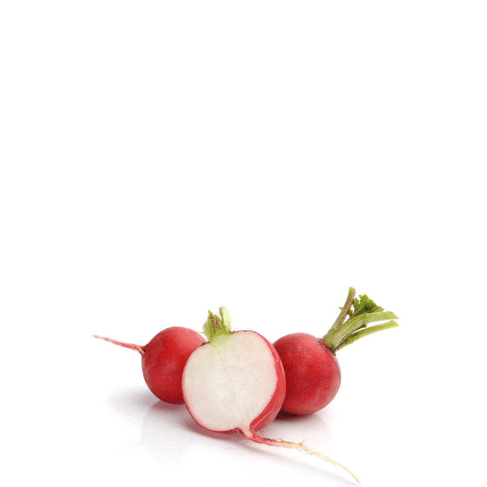 Heirloom Radish Seeds (Laal Mooli ) - Redondo Rojo