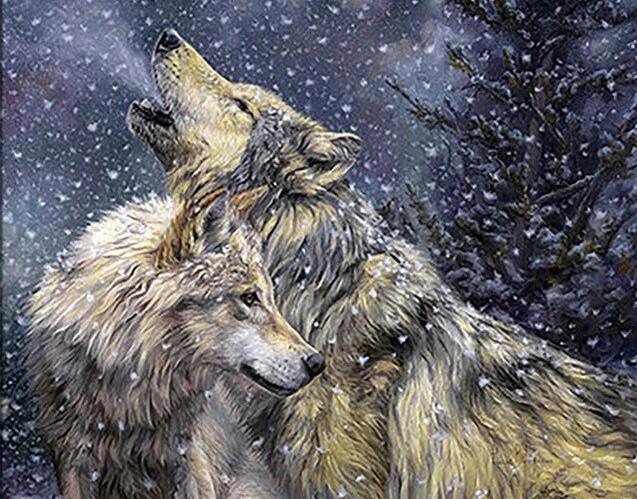 

Winter Wolves – Paint By Numbers - 40*50CM, 501 Original