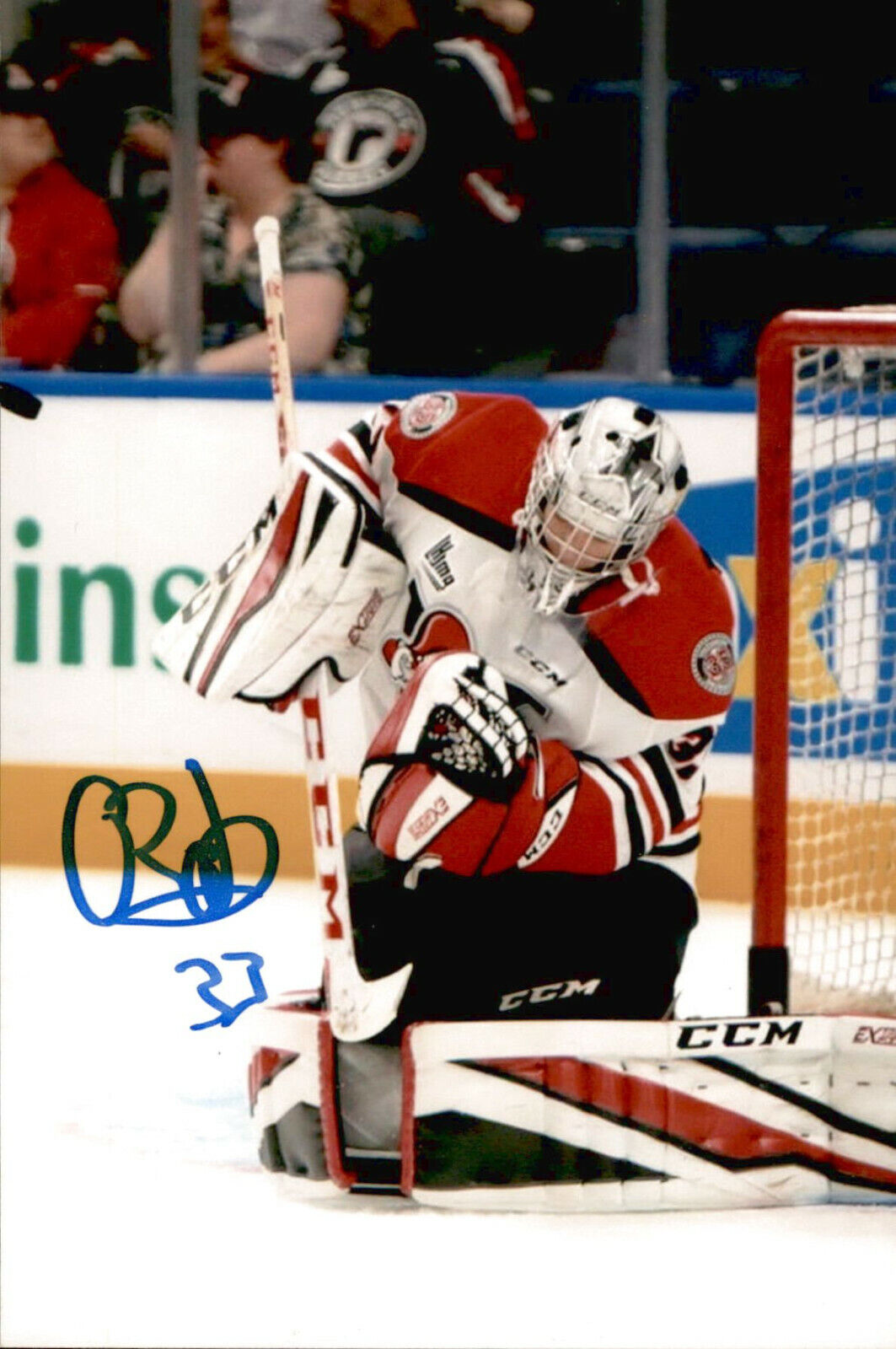 Olivier Rodrigue SIGNED 4x6 Photo Poster painting DRUMMONDVILLE VOLTIGEURS / EDMONTON OILERS #3