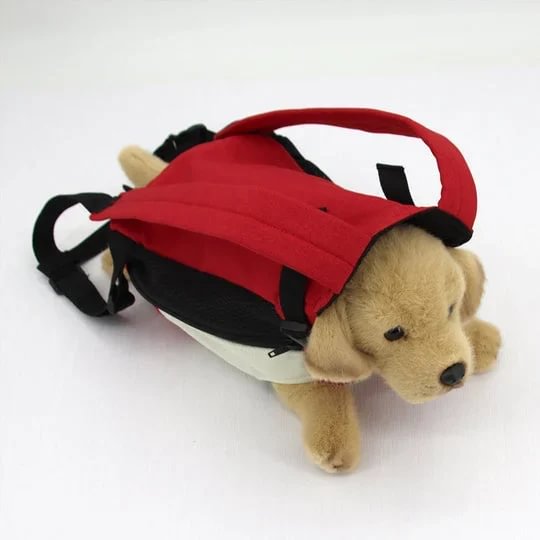 🔥🔥Pet Travel Leg-out Backpack🐶🐱