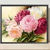 Peony Flower-Paint by Numbers Acrylic Painting 50*40cm