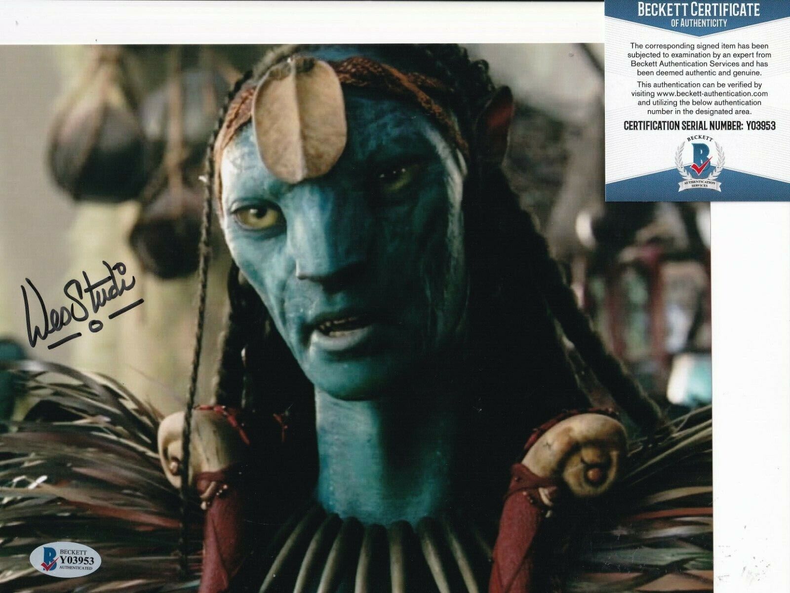 WES STUDI signed (AVATAR) Eytukan Movie autograph 8X10 Photo Poster painting BECKETT BAS Y03953