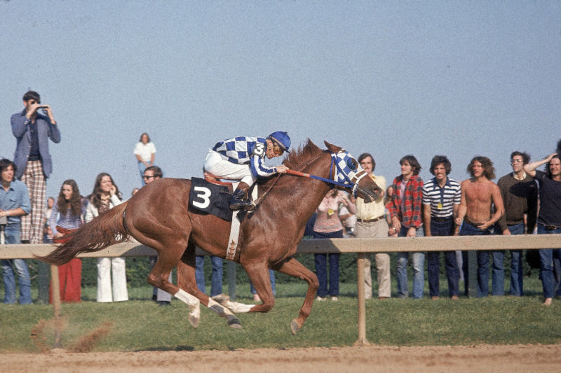 1973 Ron Turcotte SECRETARIAT Horse Racing Preakness 8x10 Photo Poster painting Triple Crown