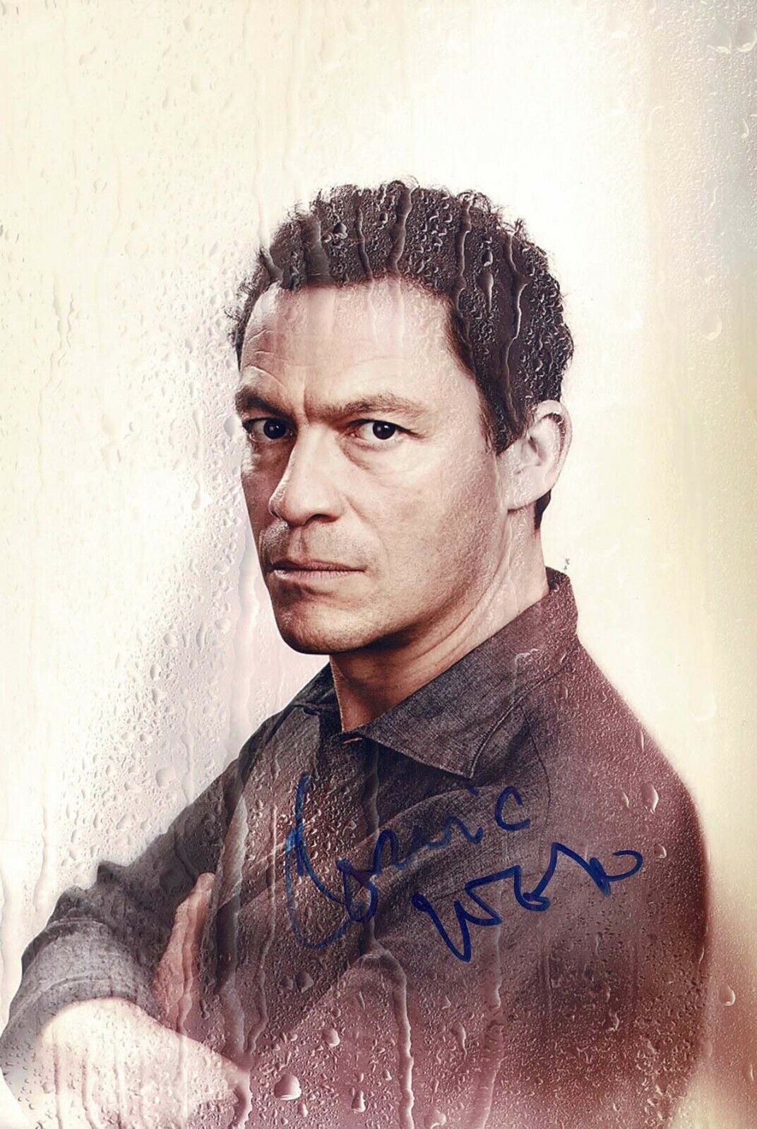 Dominic WEST Noah SOLLOWAY The Affair Actor SIGNED 12x8 Photo Poster painting AFTAL COA