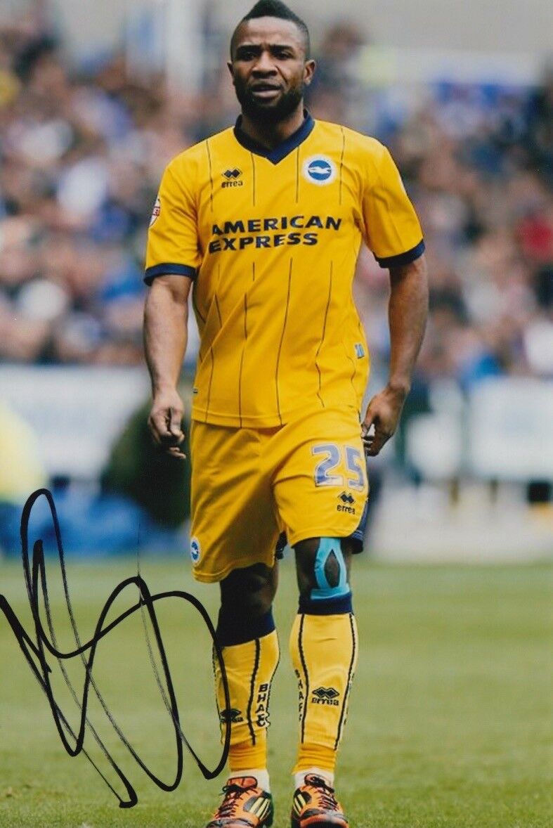 BRIGHTON & HOVE ALBION HAND SIGNED KAZENGA LUALUA 6X4 Photo Poster painting 1.