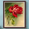 Red Rose-Paint by Numbers Acrylic Painting 40*50CM