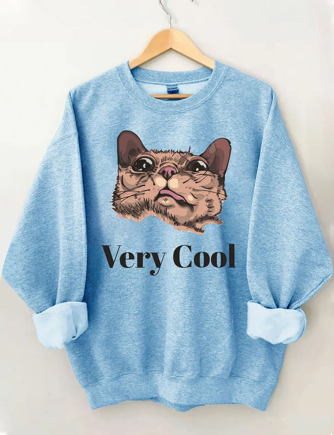 Very Cool Sweatshirt