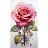 (Big Size)Texture Rose-Paint by Numbers Acrylic Painting 40*70CM