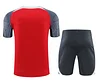 2024/2025 Liverpool Pre-match Training Red Shirt+Shorts  1:1 Thai Quality