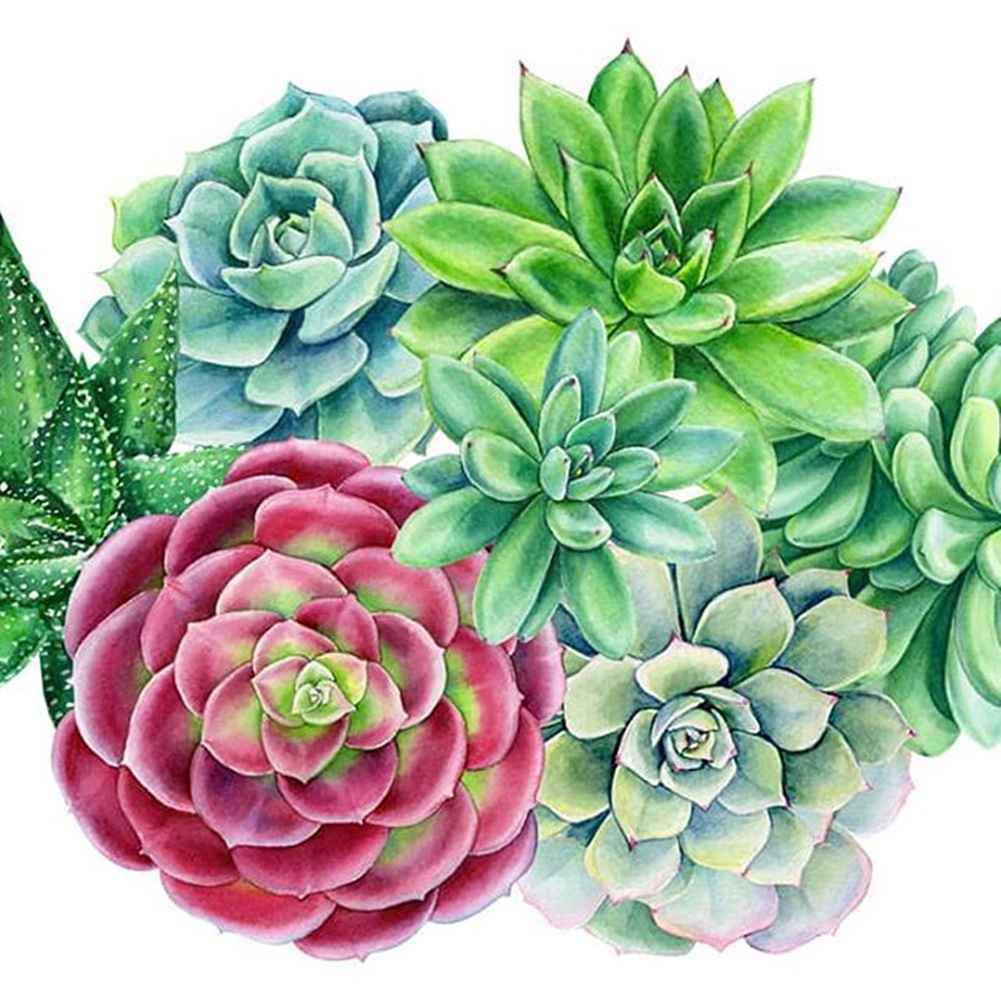 

30*30CM - Succulent Plants - Round Drill Diamond Painting, 501 Original