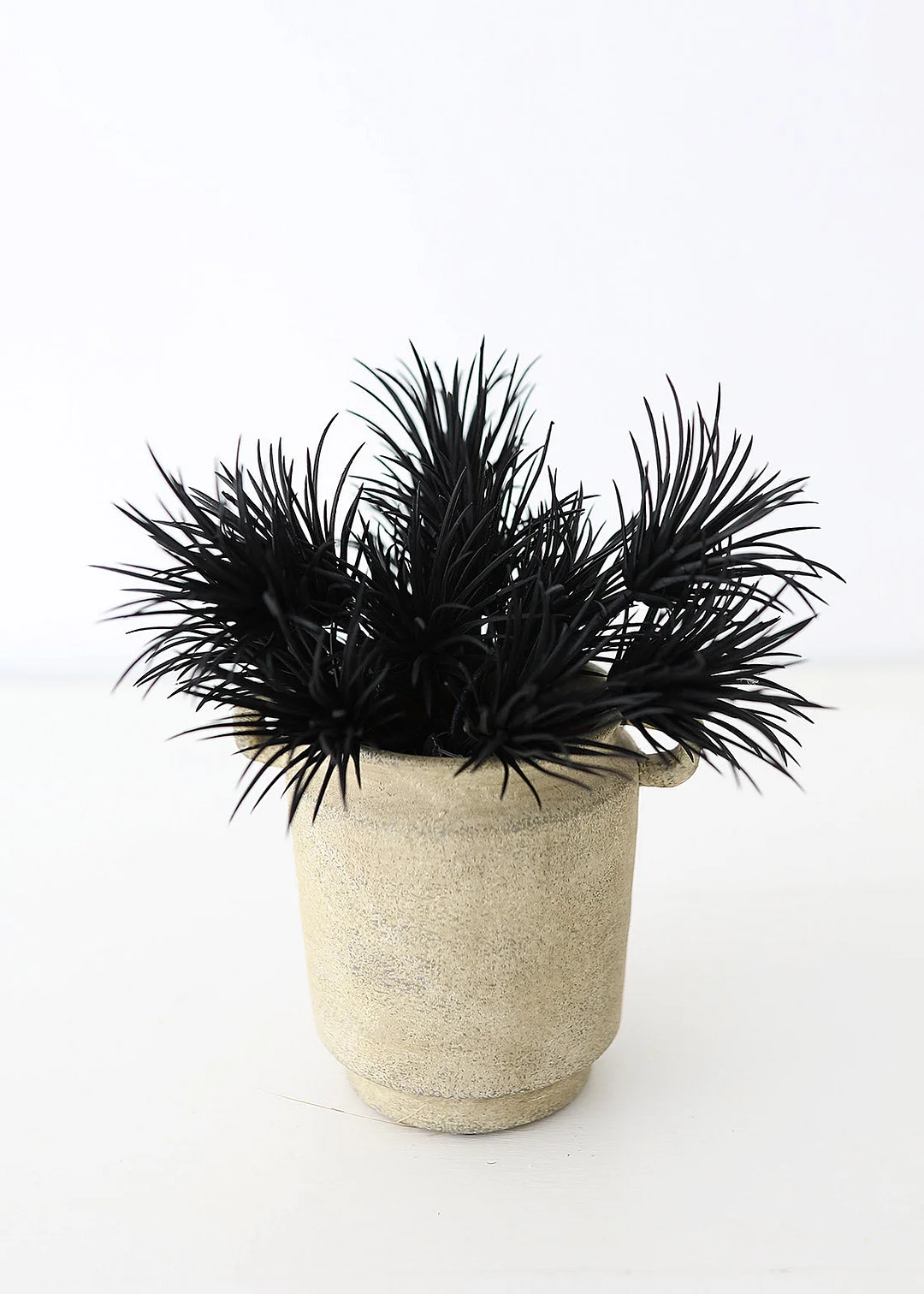 Plastic Artificial Succulent in Black - 8.5"