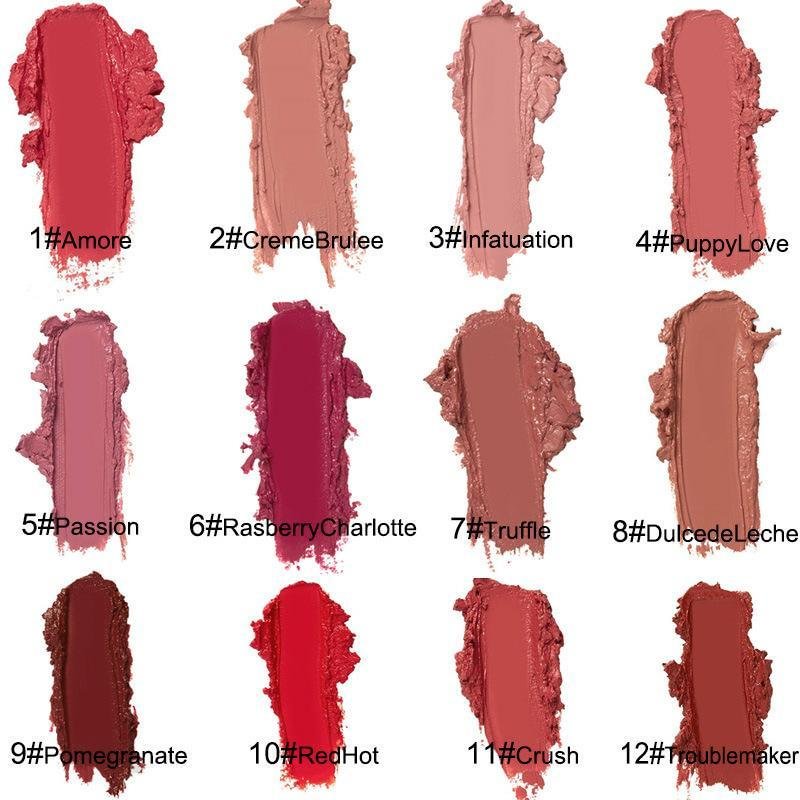 12 Color Cream Texture Waterproof Lipstick