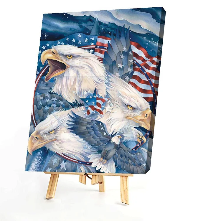 American Independence Day - Painting By Numbers - 40*50CM gbfke