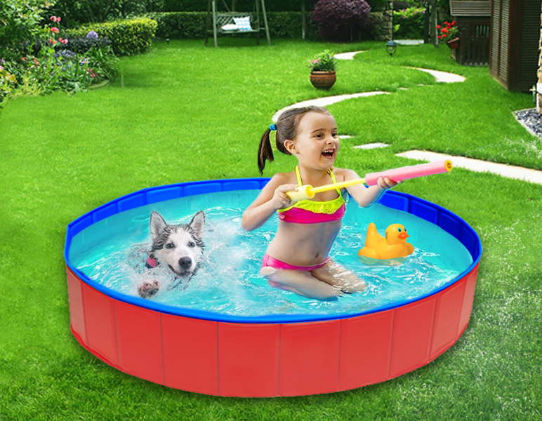 2022 Dog Swimming Pool™