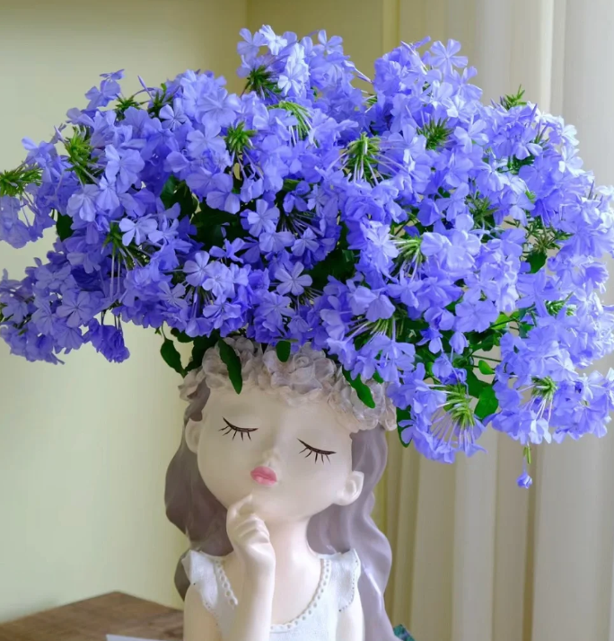 Blue Plumbago Flower Seeds - Blue Gem in the Garden