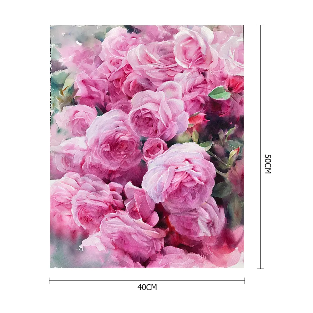 DIY Paint By Number 40*50cm - Garden Rose