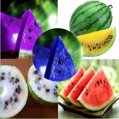 Rare Colorful Sweet Watermelon Seeds Fresh Fruit Healthy Planting Summer Jonyparkseed®