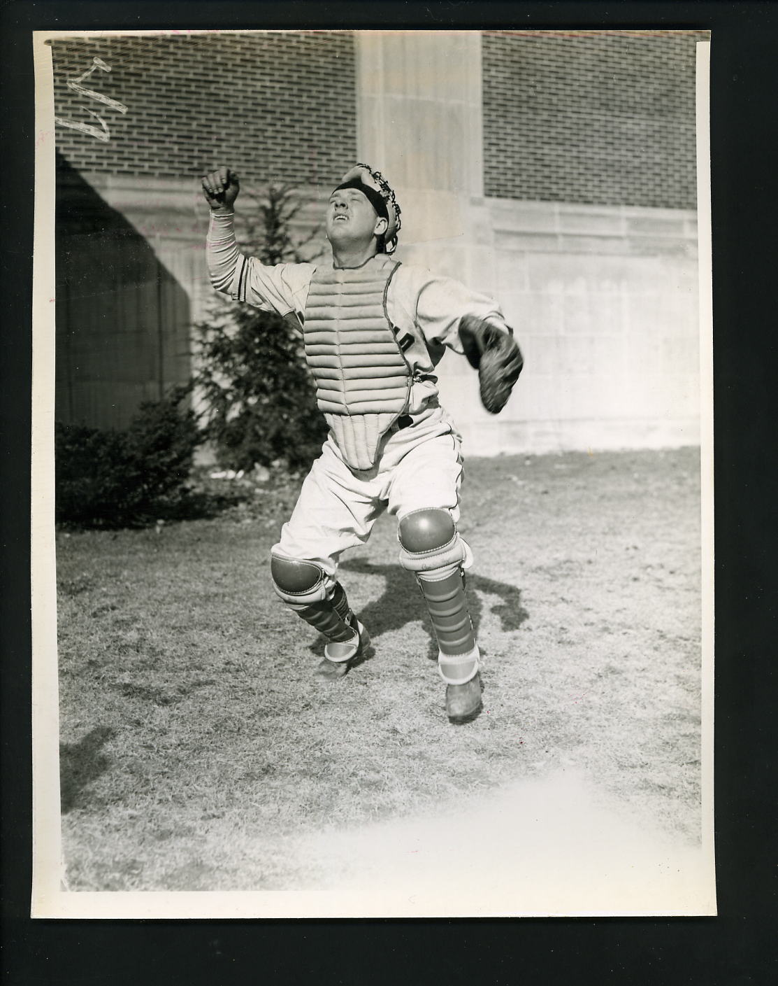 Buddy Rosar 1943 Cleveland News Press Photo Poster painting Indians searching for pop-up pose