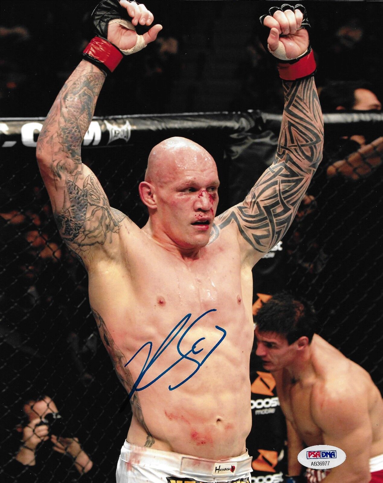 Krzysztof Soszynski Signed UFC 122 8x10 Photo Poster painting PSA/DNA COA Picture Autograph 97 1