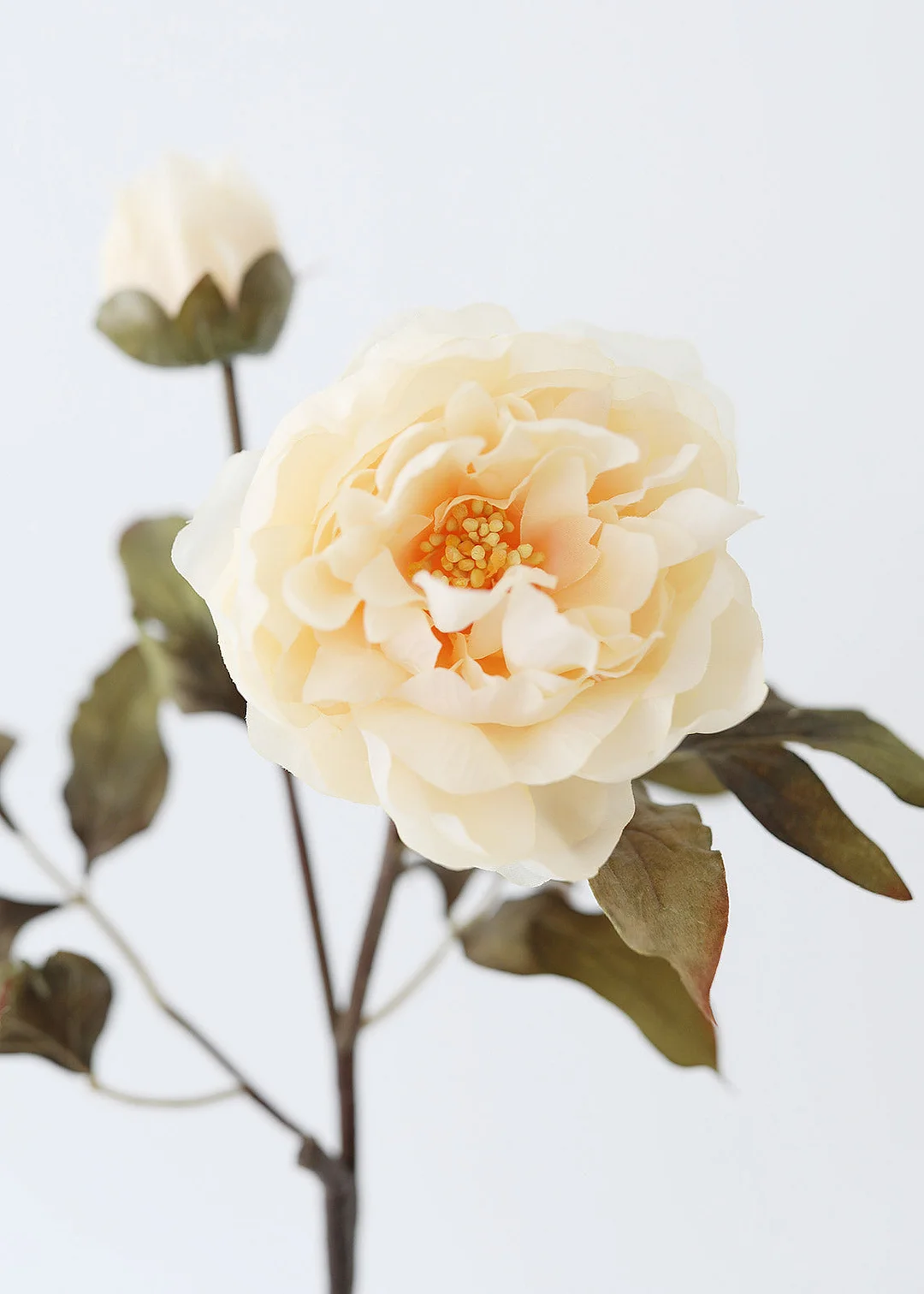 Artificial Peony in Beige - 28.5"