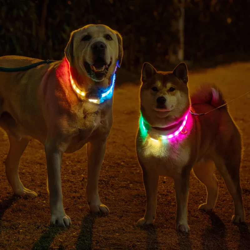 USB Rechageable Light Up Dog Collars for Night Walking (L) Mewoofun Mewoofun