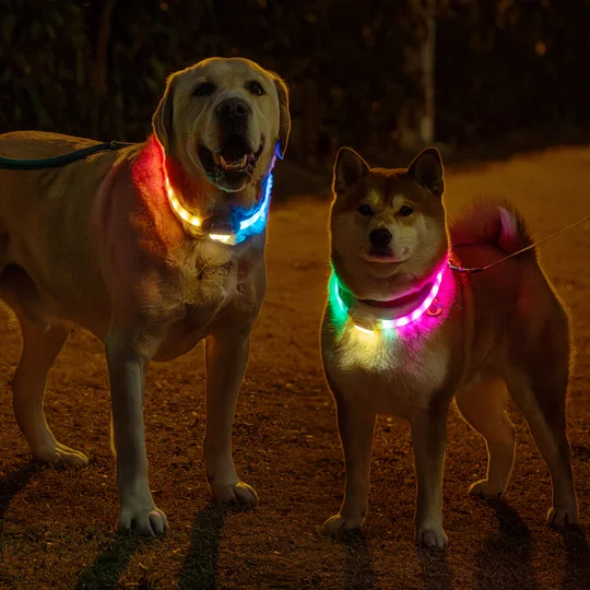 USB Rechageable Light Up Dog Collars for Night Walking (L) | Robotime Online