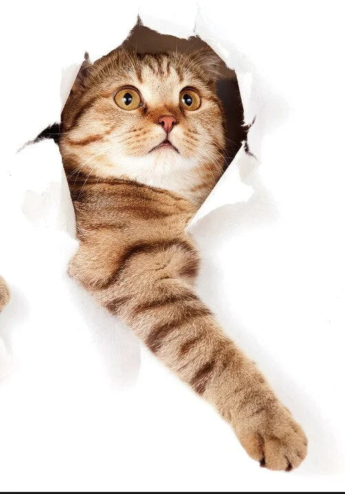 Cartoon Animal 3d Toilet Stickers on The Toilet Seat Cute Cats PVC Wall Sticker Bathroom Refrigerator Door Decor Stickers Decals