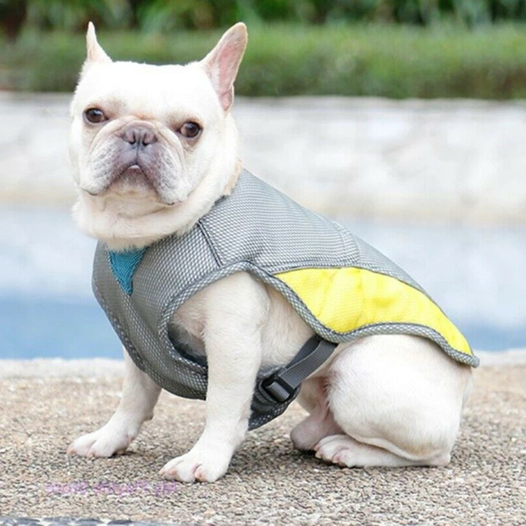 Dog Cooling Vest Harness Jacket  For Summers