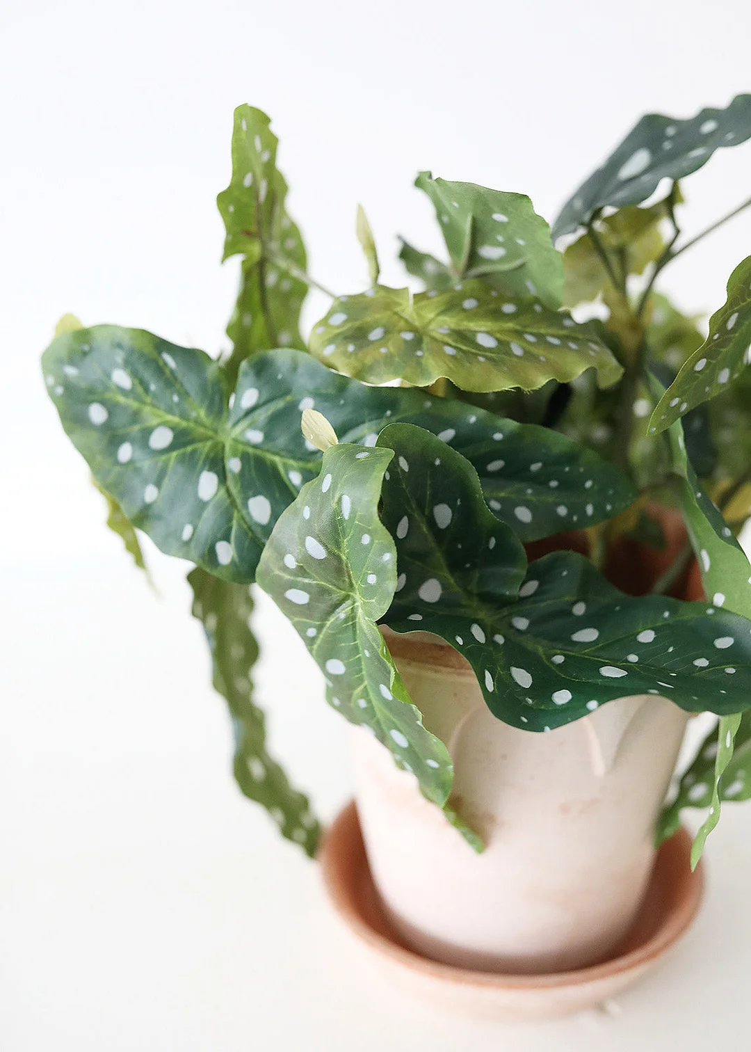 Artificial Angel Wing Begonia Leaf Plant - 12"