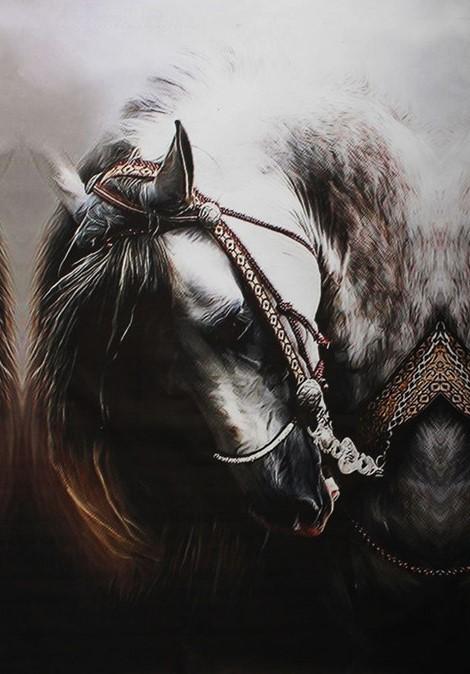 

Arabic Horse – Paint By Numbers - 40*50CM, 501 Original