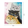 Painting By Numbers - DIY Cat(40*50cm)