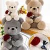 Gioiacombo™ Regalo di San Valentino Rose Teddy Bear
