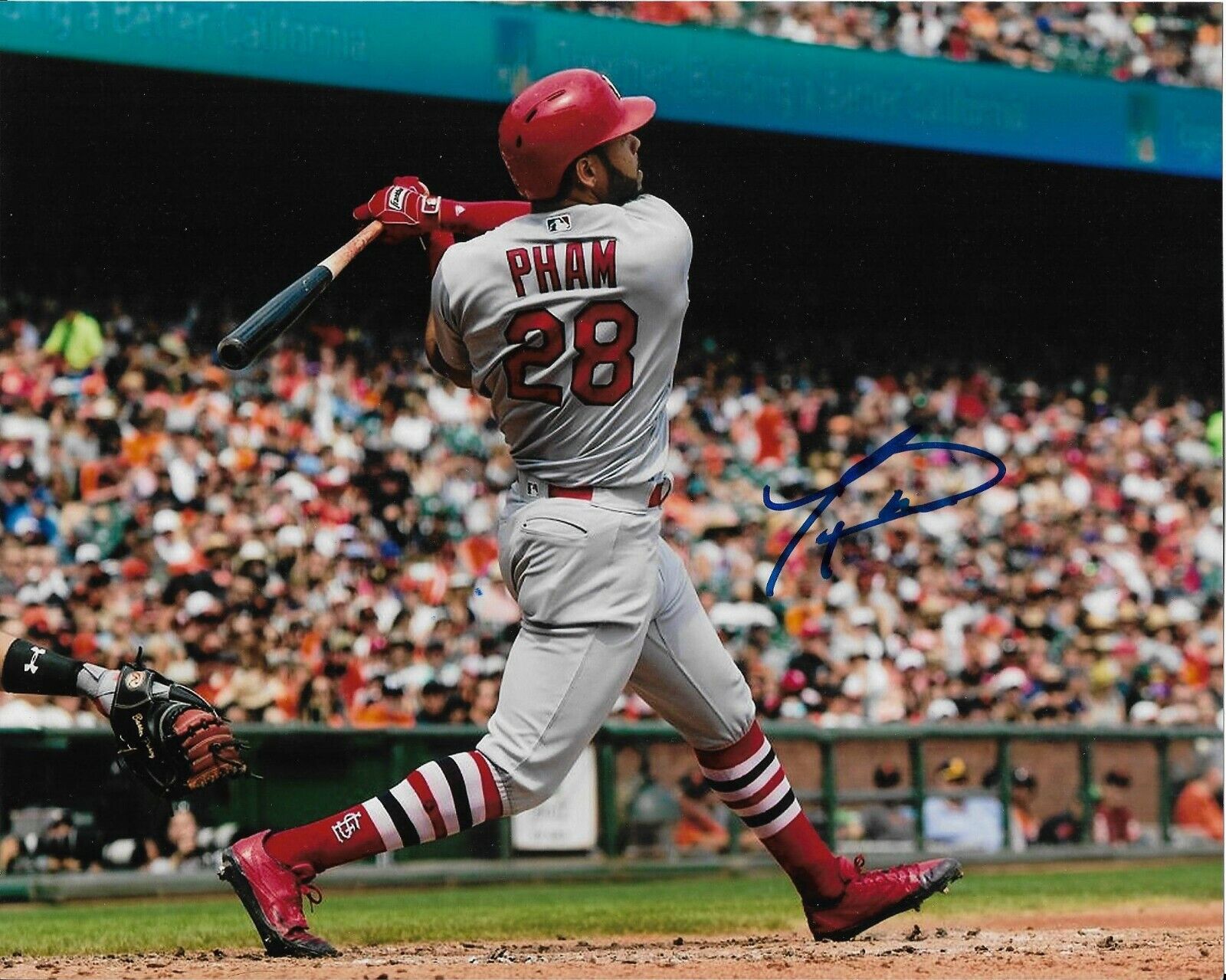 TOMMY PHAM signed autographed ST. LOUIS CARDINALS 8x10 Photo Poster painting w/COA