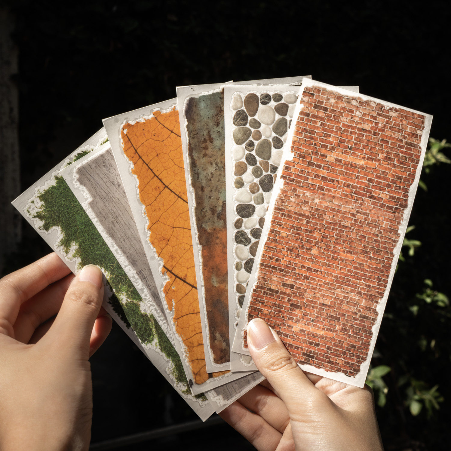 PVC 전사 스티커 - 자연 흔적 시리즈 빈티지 잎사귀 나무결