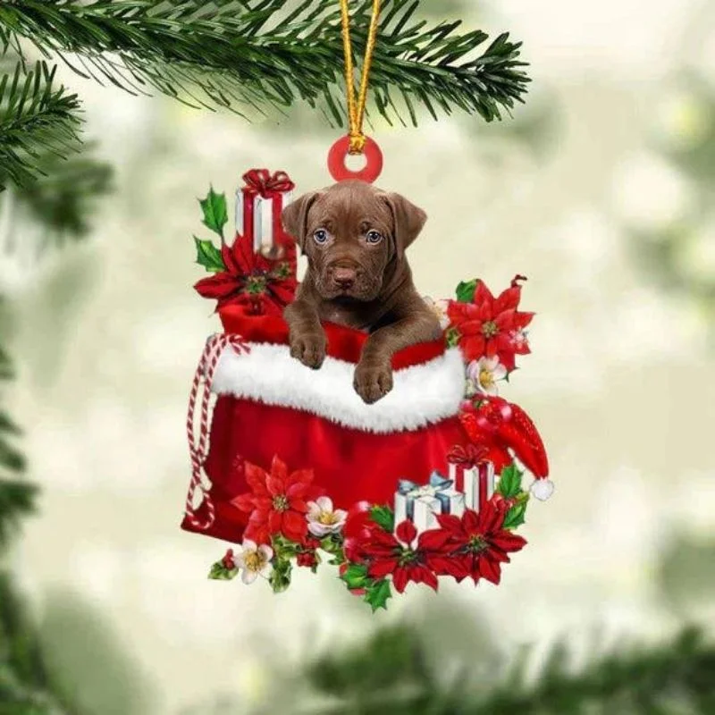 VigorDaily Pit Bull In Gift Bag Christmas Ornament GB059