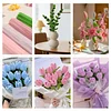400 Pcs Pipe Cleaners Craft Kit with Floral Wires Tape Stamen and Ribbon Chenille Stems Flowers Craft Kit Suitable for Home Decor Handmade Gifts