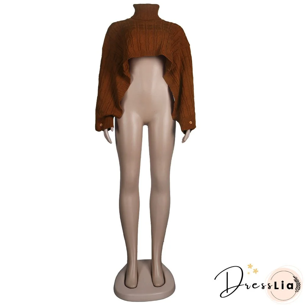 Solid Color Turtleneck Bat Sleeve Sweater Crop Top