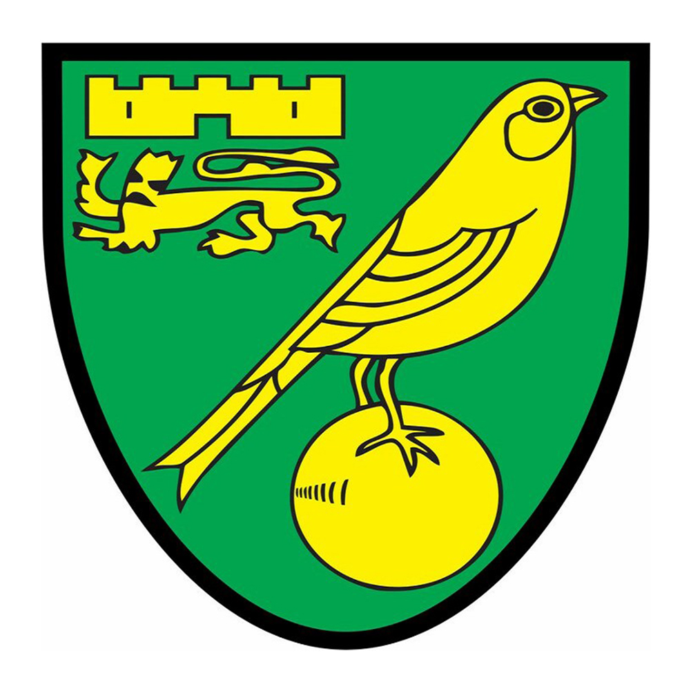 

Football Norwich City - Round Drill Diamond Painting - 30*30CM, 501 Original