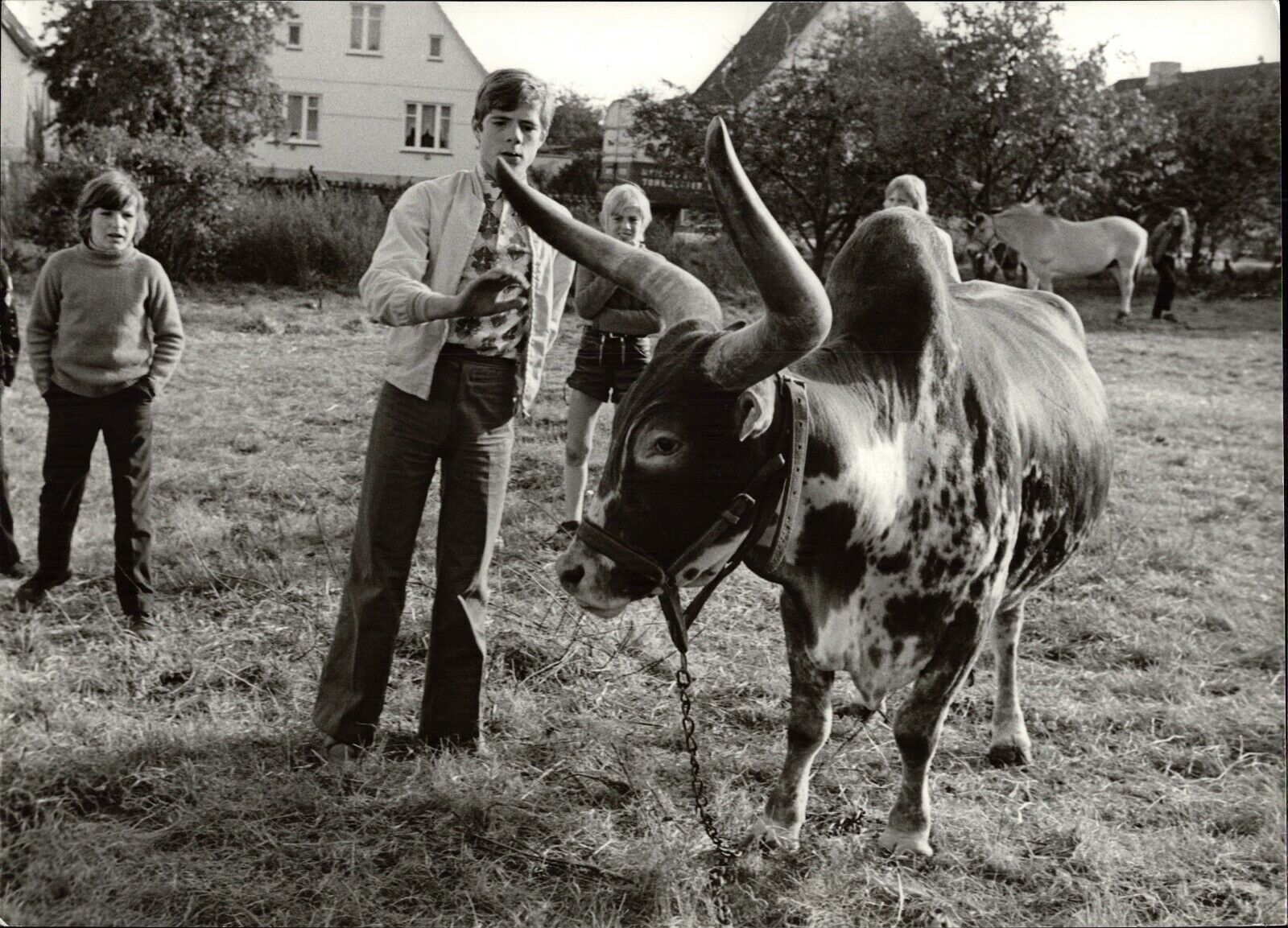 Heintje With Yak - Vintage Press Photo Poster painting Norbert Unfried (U-7012