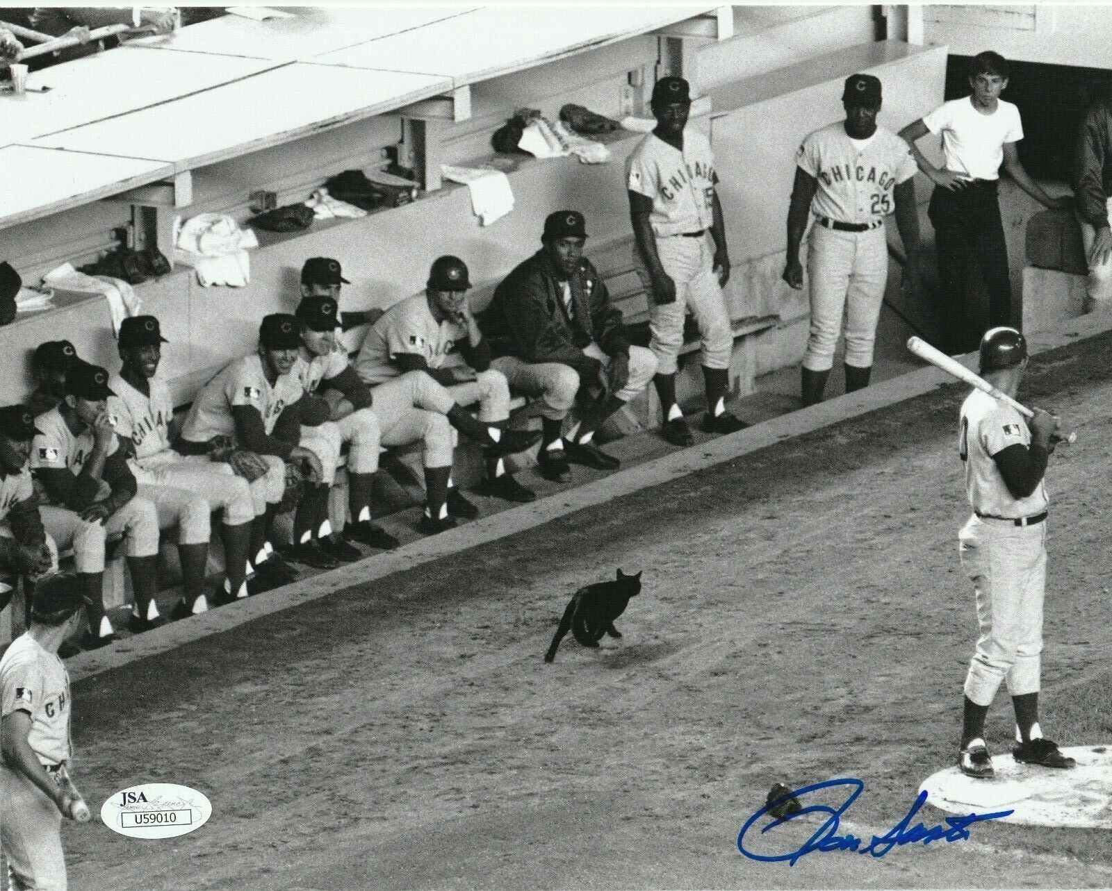 RON SANTO Signed Chicago CUBS BLACK CAT 8X10 Photo Poster painting with JSA COA