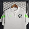 2023/2024 Palmeiras Polo Shirt 1:1 Thai Quality