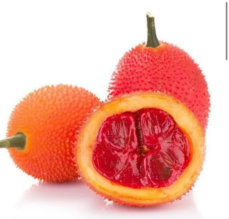 Gac fruit seeds, Gac Melon Vine Momordica Cochinchinensis seeds